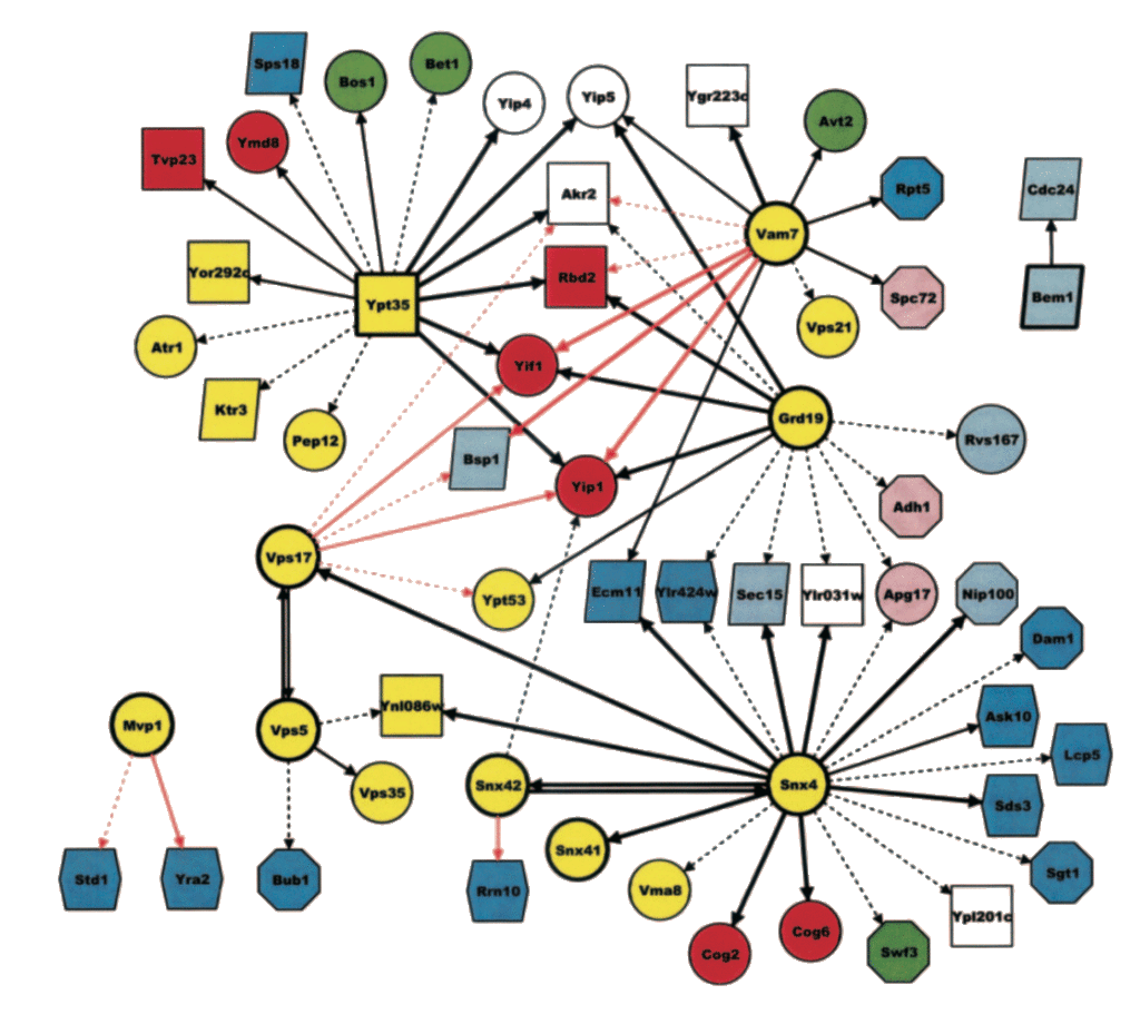 Uetz Lab – Proteins & Reptiles